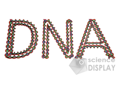 Dna Letters