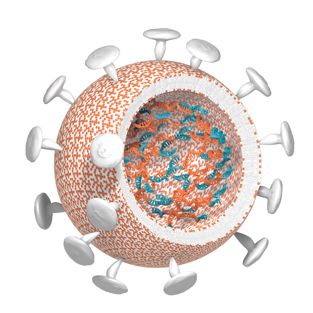 mRNA-LNP by CureVac