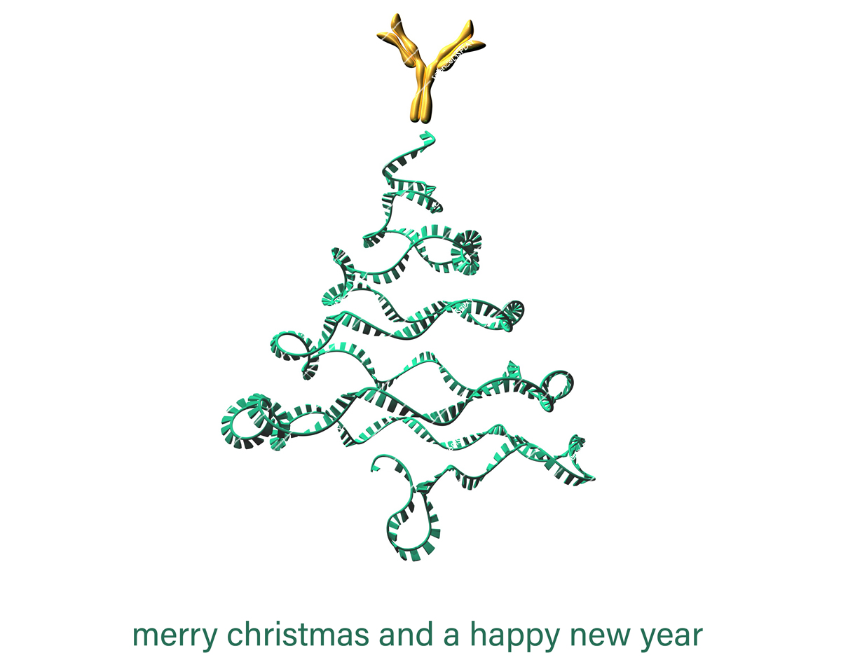 Christmas tree with mRNA and Antibody